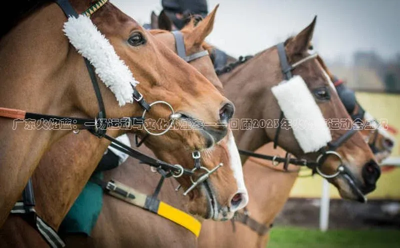 门徒平台注册中心