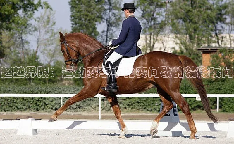 门徒娱乐平台登录入口